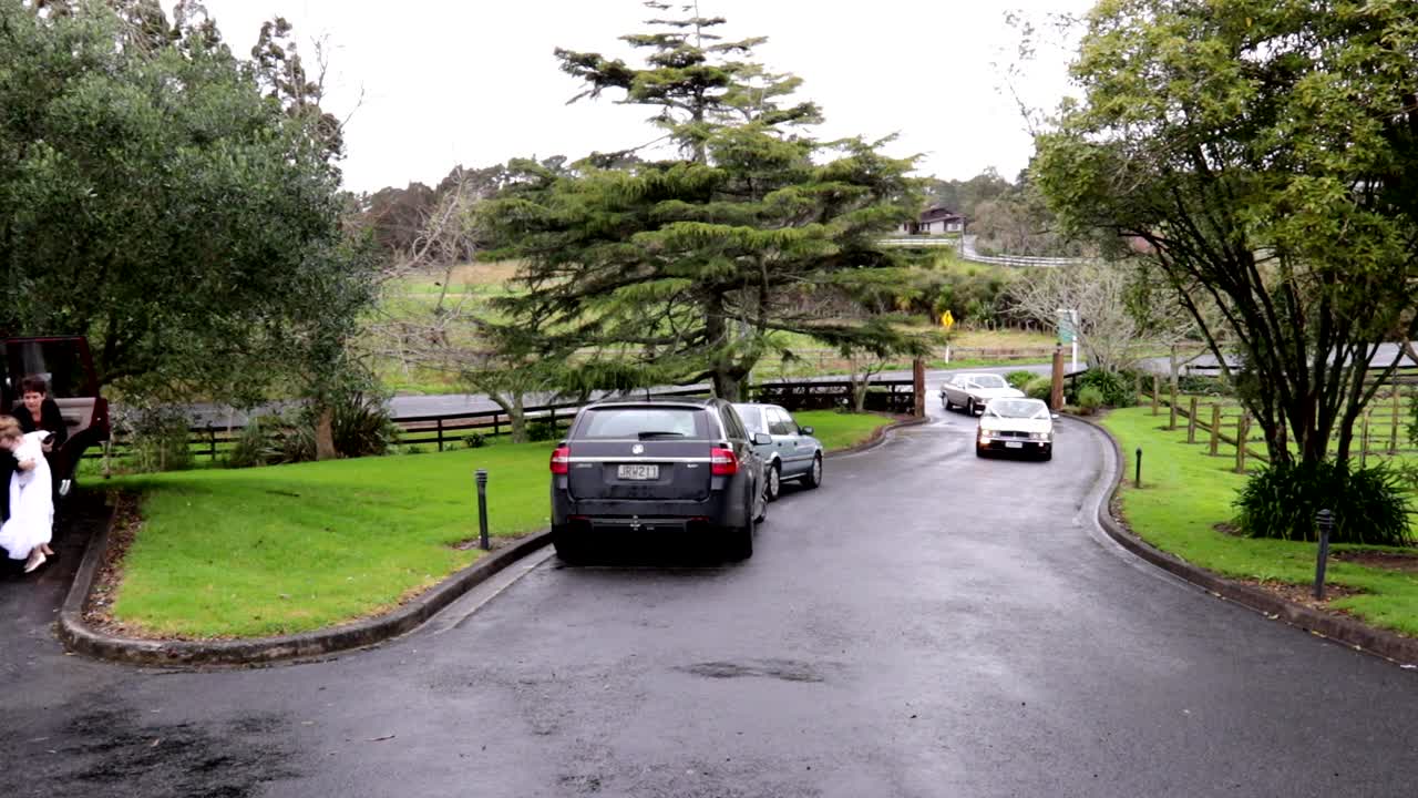 하얀 웨딩 카 또는 리무진의 샷