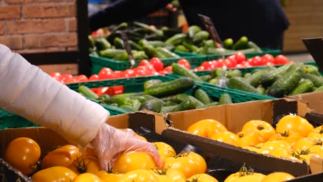 woman chooses vegetables from boxes in the supermarket. ripe juicy fruits. shooting close up