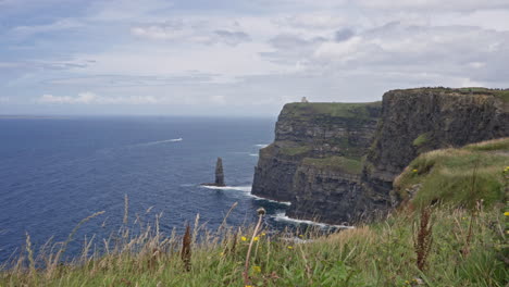 cliffs of moher on beautiful summer day in ireland