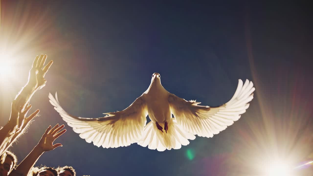 Pengambilan gambar sudut rendah yang dramatis menangkap seekor merpati yang melayang di atas kerumunan, melambangkan harapan dan kebebasan.