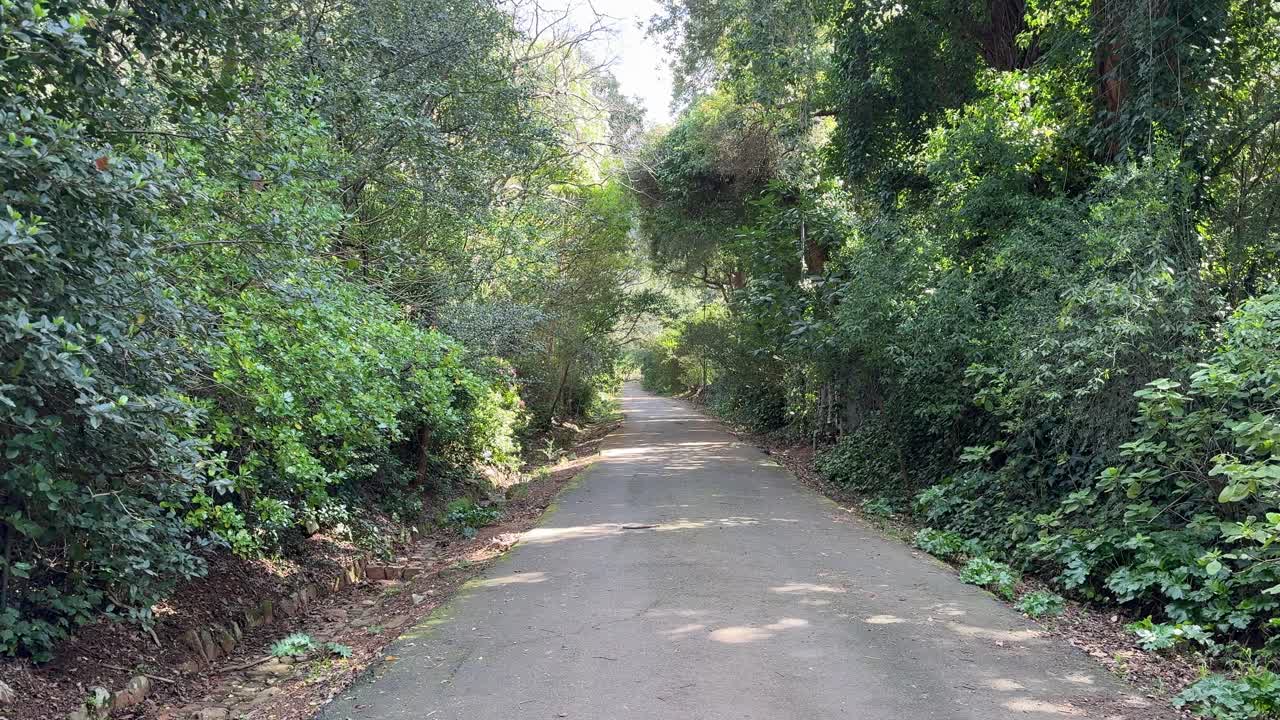 A desolate rural road in the mountains of Cape Town, South Africa