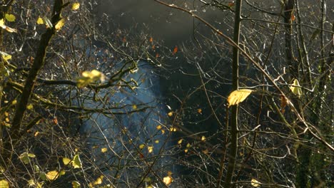 dramatic waterfall behind autumn trees as camera pulls focus to one remaining leaf on branch 4k