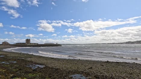 wide shot of broughty ferry castle and coastline under bright daylight, with gentle waves moving across a rocky, seaweed-strewn shore. static camera, natural lighting