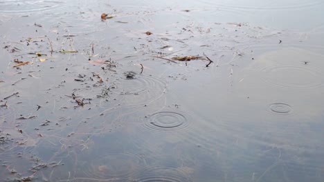 raindrops creating ripples on water in slow motion