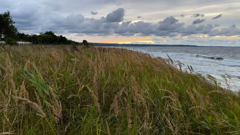 Statische-Aufnahme-Von-Meereswellen-Mit-Grasfeld,-Das-Bei-Bewölktem-Sonnenuntergang-Im-Wind-Weht