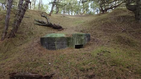 this abandoned bunker is called a tobruk and is located in a forest in the netherlands