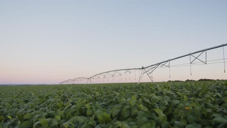 sistema de riego en un campo de soja