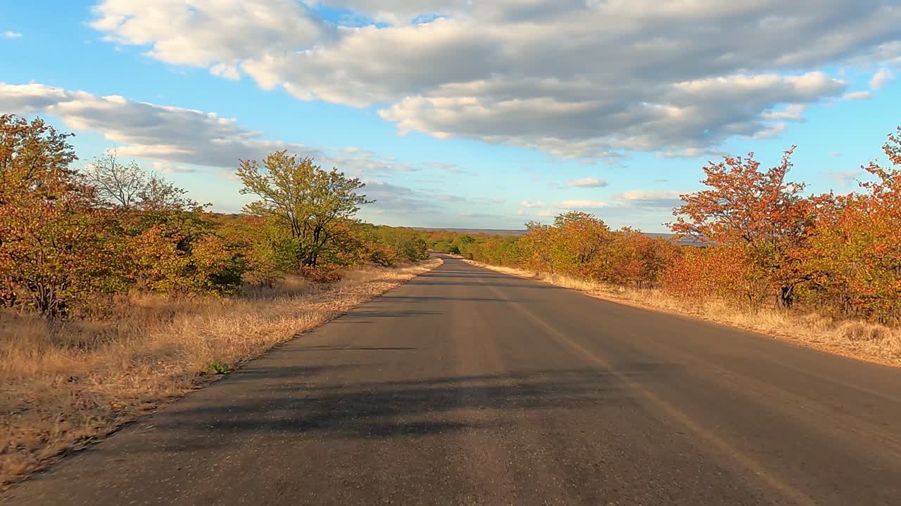 Parco Nazionale Kruger in Sudafrica con la sua strada asfaltata, vegetazione lussureggiante e affascinanti ombre del tramonto.