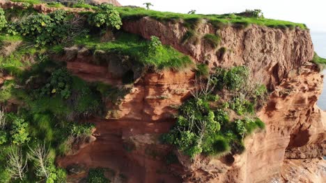 Aerial-View-Of-Green-Vegetation-On-Sandstone-Sea-Stack-In-Ladram-Bay