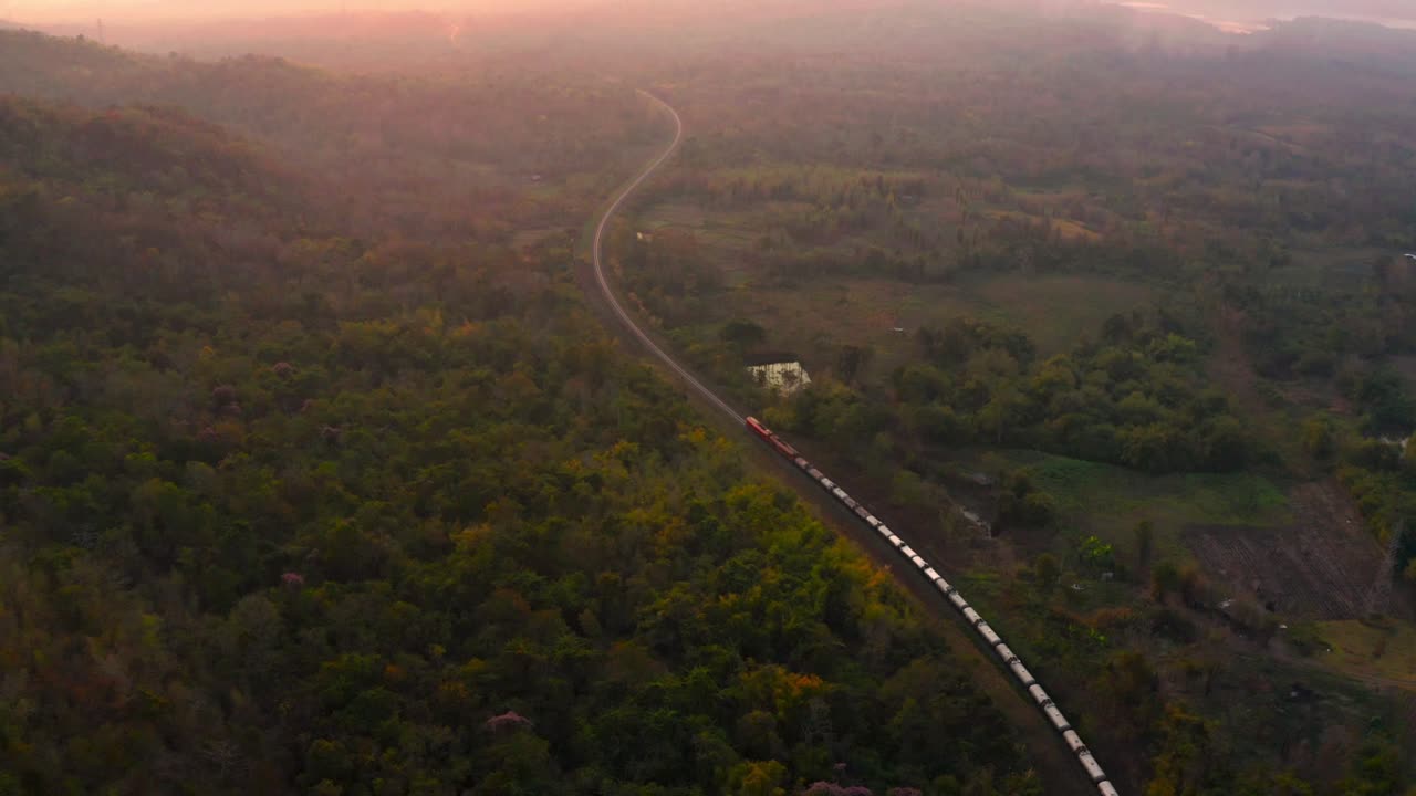 The train runs on tracks amid a beautiful green forest.