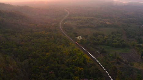 the train runs on tracks amid a beautiful green forest.
