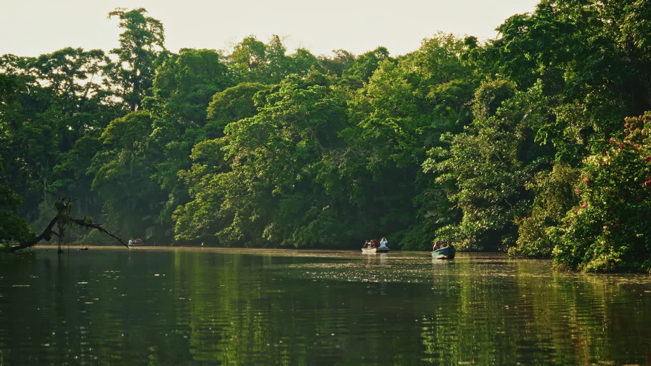 Navigating through the canals of Tortuguero National Park in Costa Rica. Panoramic view of the green lush vegetation and the rainforest. Natural reserve for wildlife and biodiversity.