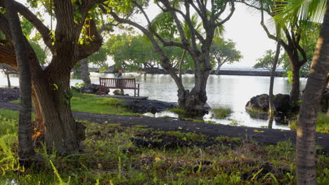 woman photographer at mauna lani fish ponds, hawaii