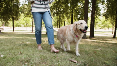 Junge-Frau-Mit-Haustier-Im-Park