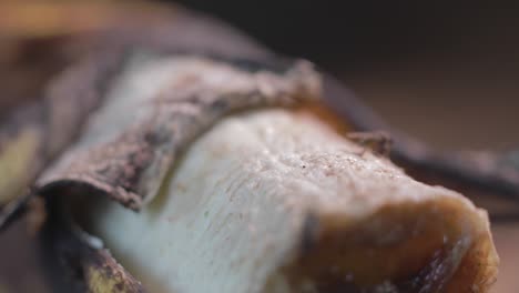 two flies prowling around and feeding on a rotten banana