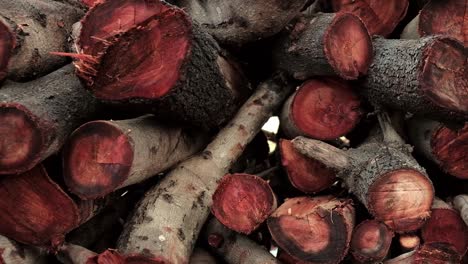 Panning-shot-of-a-pile-of-firewood