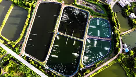 arial view of shrimp farm and fishing farm