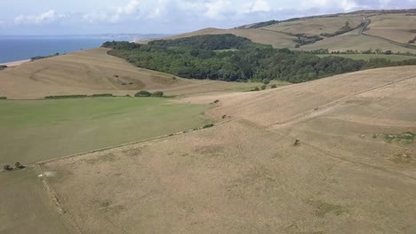 Weitwinkelaufnahme-Aus-Der-Luft-In-Richtung-Des-Hügels-Mit-Der-St.-Catherines-Kapelle-Auf-Der-Spitze-Und-Dem-Subtropischen-Wald,-Beide-In-Der-Nähe-Von-Abbotsbury