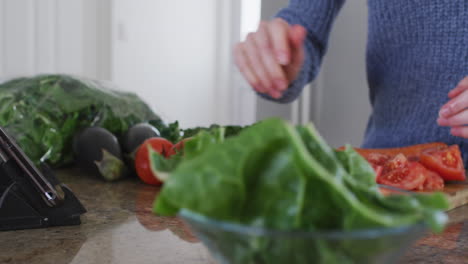 mid section of woman chopping fruits while using digital tablet in the kitchen