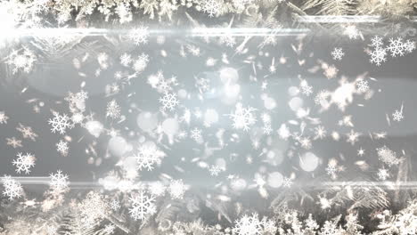 animation of multiple white snowflakes falling on grey background