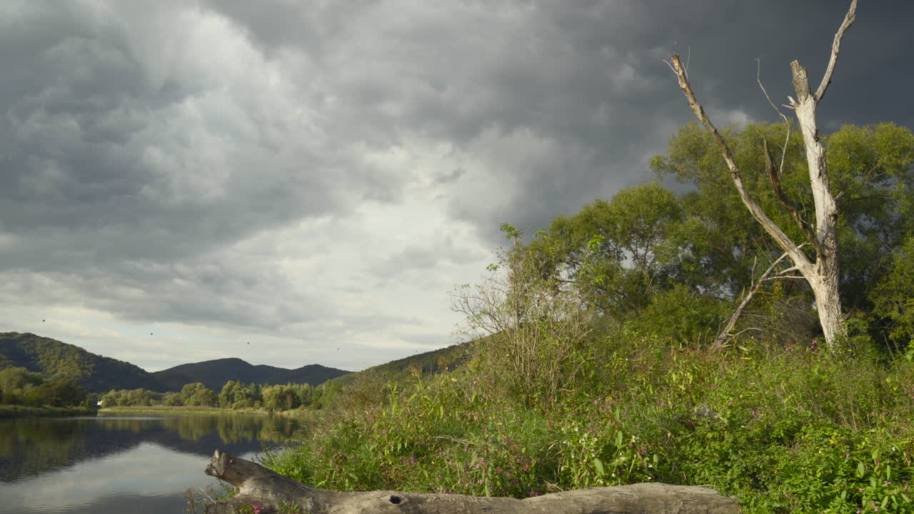 Timelapse of lush riverside panorama, spectacle of lights on cloudy day. Shifting interplay of sunlight and shadows as fast-moving clouds contrast with bright greenery, fallen tree. Poland