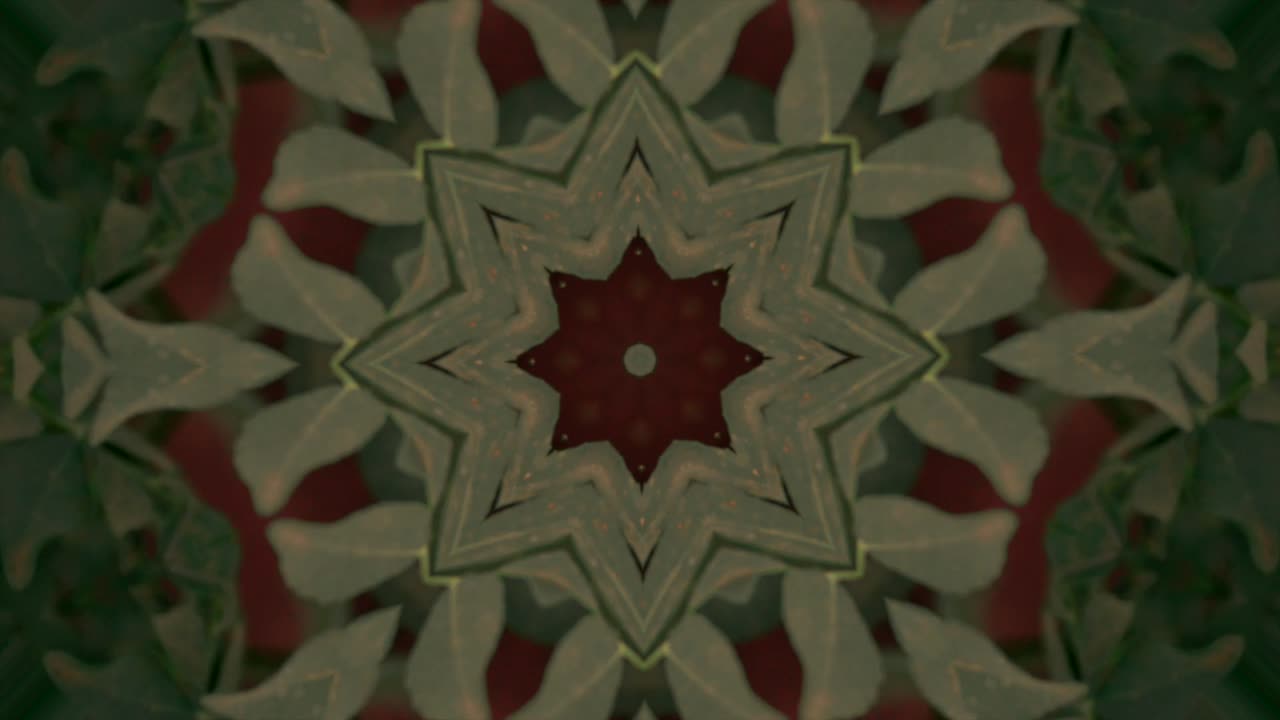 Tree leaves kaleidoscope bird eye view