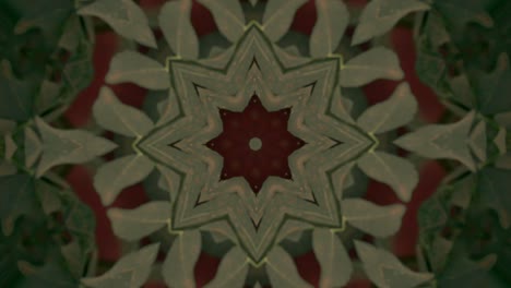 liście drzew kaleidoskop widok z ptackiego wzroku