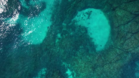 scenic seascape and coral reefs in nsw, australia - drone shot