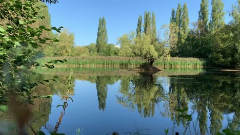 reflective still lake disturbed by a thrown stick causing a large ripple 4k
