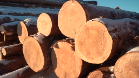 stacked lumber against blue sky in winter