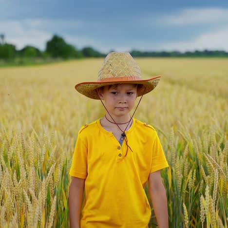 boy on big field of wheat