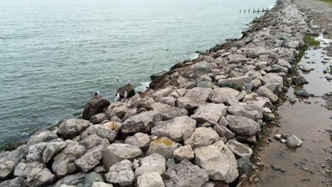 aerial view above splashing ocean tide breaking on rocky coastal shoreline slow push in