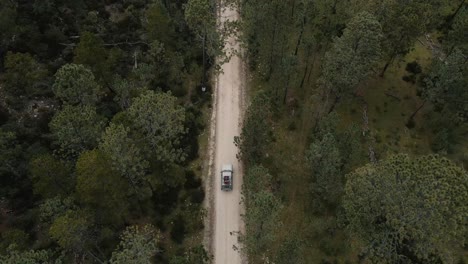 birds eye view of adventure jeep driving forest road to the top of the mountain, tracking aerial shot