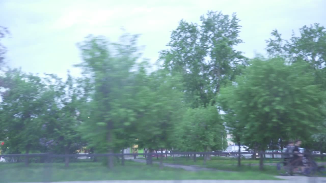 움직이는 차량 에서 도시 공원 전망