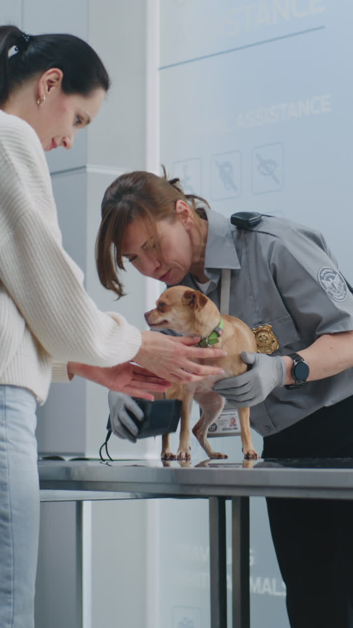 Airport Security Check for a Small Dog