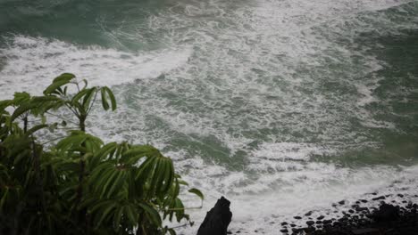 views of the ocean along the walking tracks in burleigh heads national park, gold coast, australia