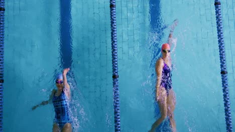 swimmers training in a swimming pool