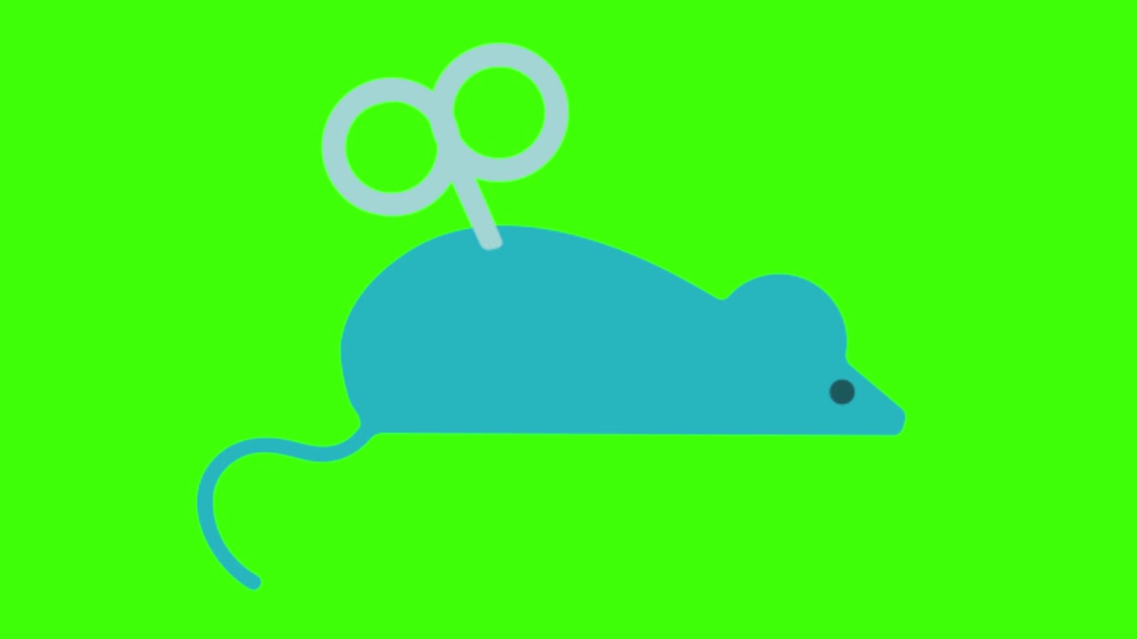 animación de un icono del ratón en una pantalla verde
