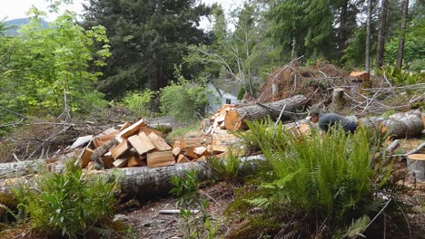 Mann-Wirft-Brennholz-In-Einen-Großen-Haufen-Im-Hinterhof-In-Kanada,-Um-Es-Im-Winter-Im-Kamin-Zu-Verbrennen