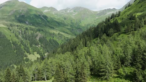 montañas y valles exuberantemente vegetados en la región de sölktäler de estiria, austria