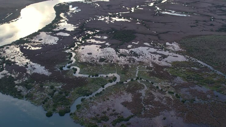 Riprese aeree di diversi tipi di vegetazione e acqua nel Lago Connewarre vicino a Barwon Heads, Victoria, Australia.
