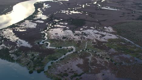 imágenes aéreas de diferentes tipos de vegetación y agua en el lago connewarre cerca de barwon heads, victoria, australia