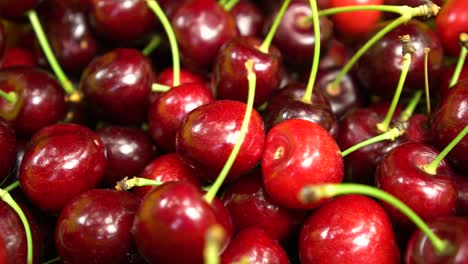 slowmo - red fresh ripe cherries