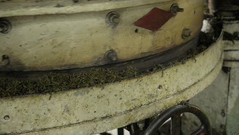 Close-up-view-of-tea-manufacturing-factory-machines-at-work-tea-leaf-sorting-and-crushing