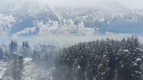 Aerial-Fly-above-drone-shot-of-Old-Manali-town-with-large-Pine-trees,-houses,-and-the-river-covered-with-snow-right-after-a-heavy-snowfall-during-the-winters-shot-with-a-drone-in-4k