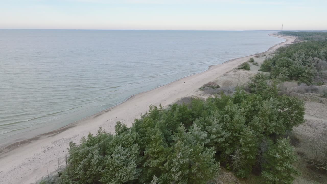 красивый вид с воздуха на побережье балтийского моря, пасмурный зимний день, спокойный пляж с белым песком, сосновый лес, эрозия берегов, изменения климата, широкий снимок с беспилотника, движущийся вперед, наклон вниз