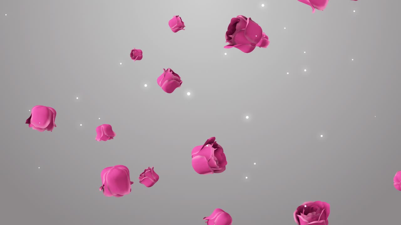 떨어지는 분홍색 장미 잎자루