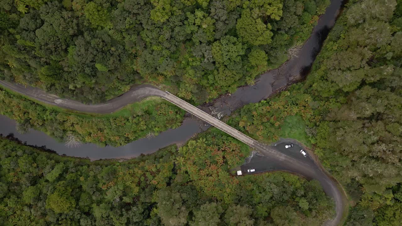 울창한 열대우림에서 갈색 강을 건너는 1차선 다리의 하강 평면도