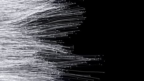 fiber optic cables spread out across the frame.