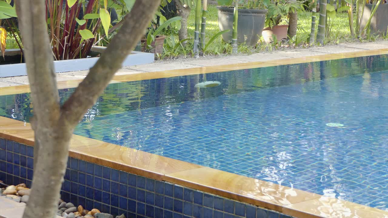 Tropisk hotel swimmingpool med træer i haven